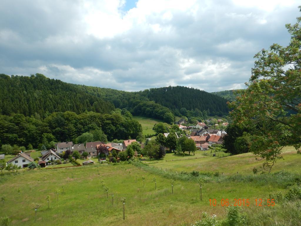 Gasthaus Koehlerhof Delliehausen Екстер'єр фото